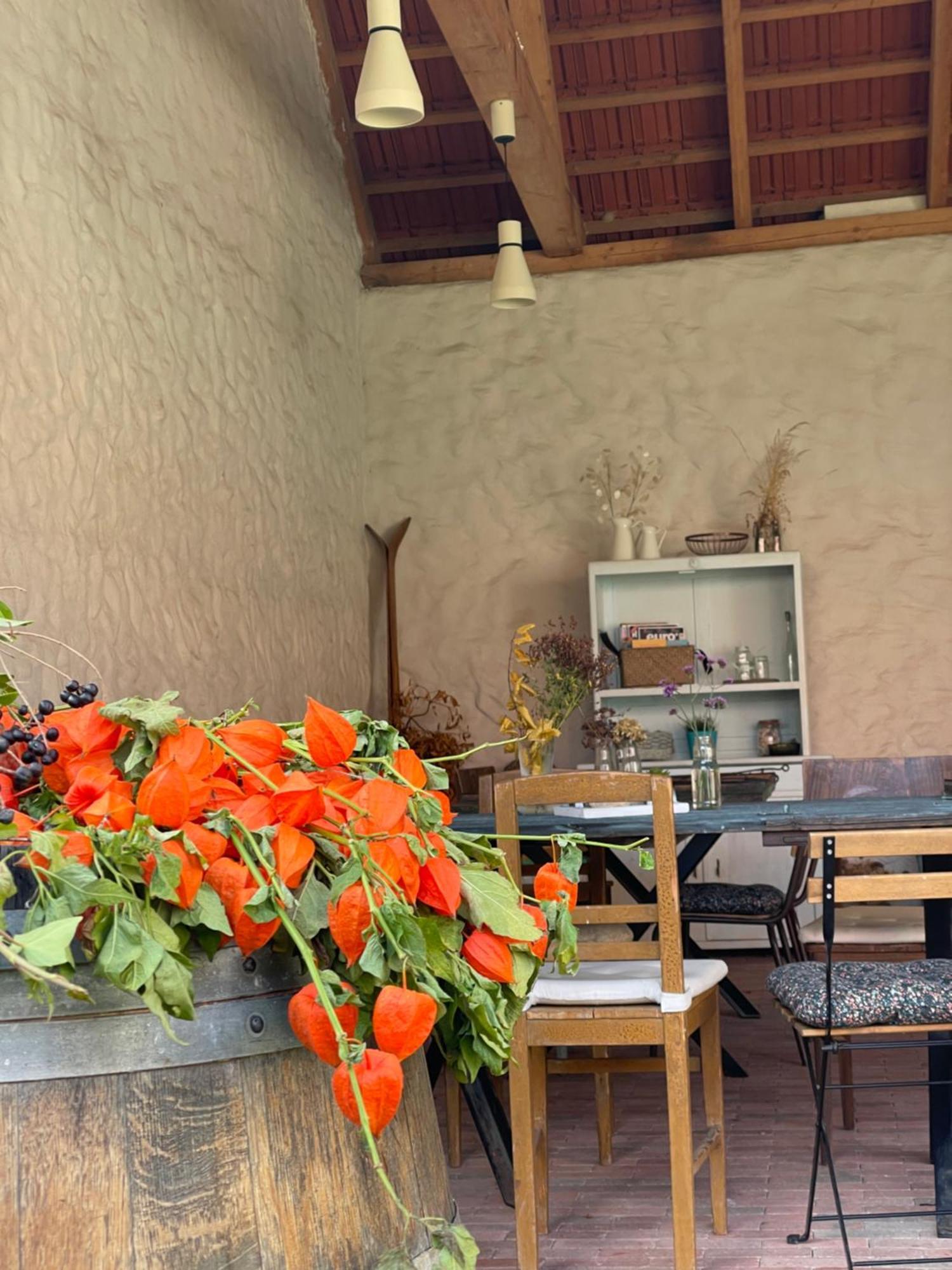 Penzion U Kaplicky Znojmo Exterior foto
