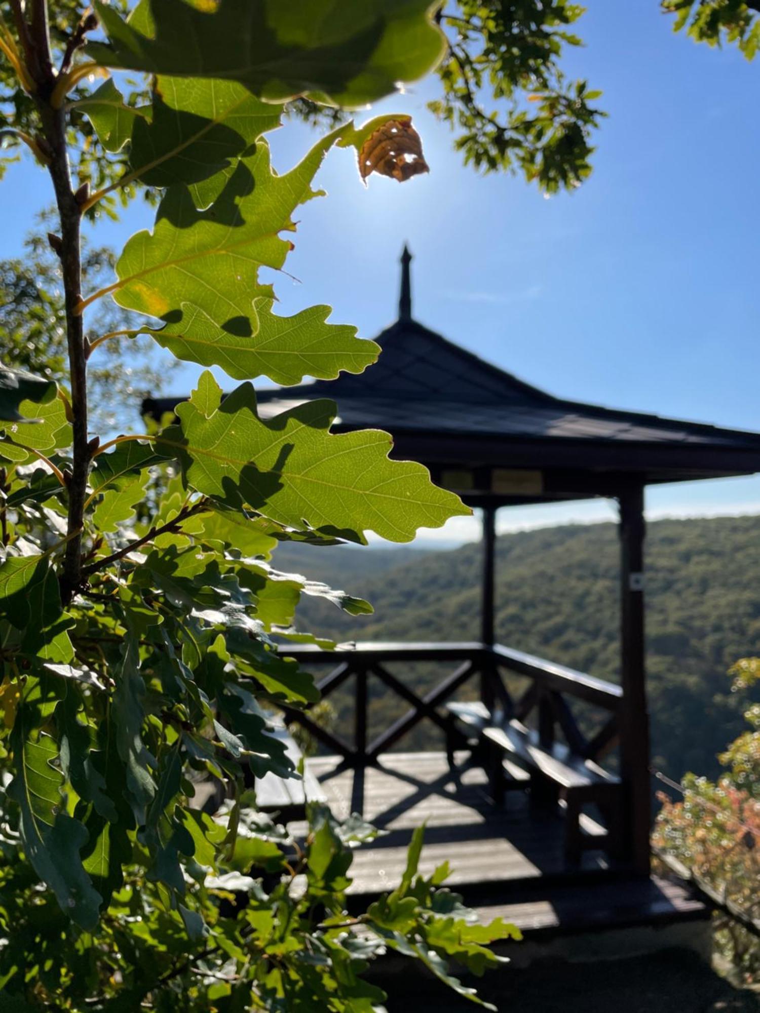 Penzion U Kaplicky Znojmo Exterior foto